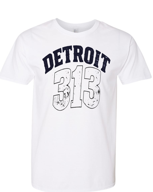 Detroit 313